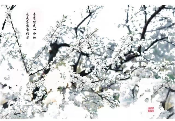 澳威全屋定制：一段君臣的对话，经典！５